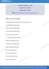 Đề kiểm tra giữa học kì II Ngữ văn 11 - Đề số 14 có lời giải chi tiết